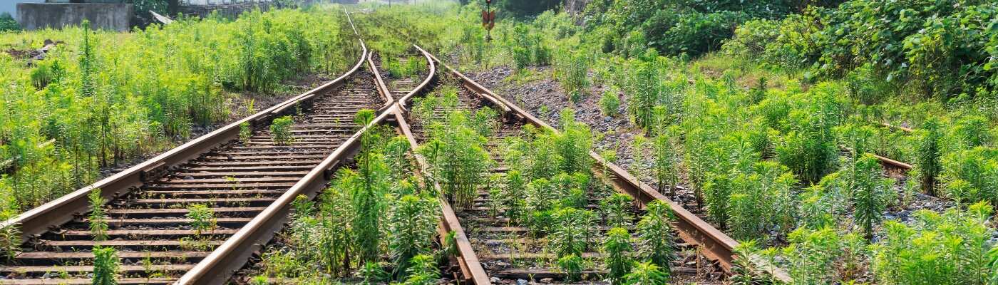 Délaissés routiers et ferroviaires