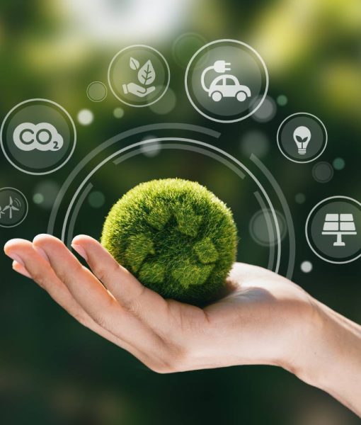 Impact environnemental et économique