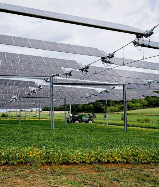 agrivoltaismes