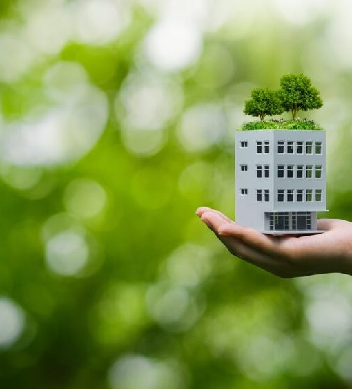 démarche écologique