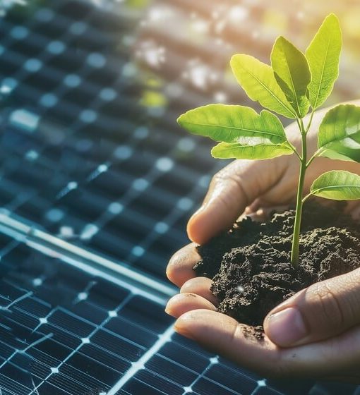 solaire sans nuire à l’agriculture