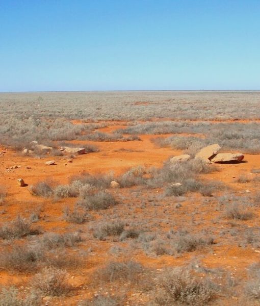 terrain non cultivable